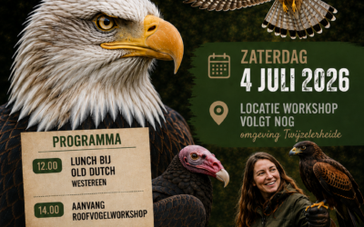 Workshop Roofvogels 4 juli 2026
